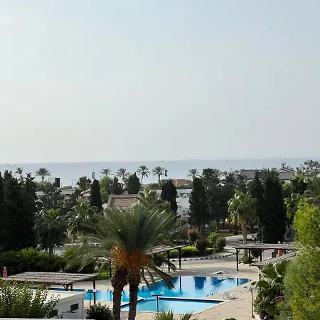 Seashell. North Cyprus. Long Lejlighed *